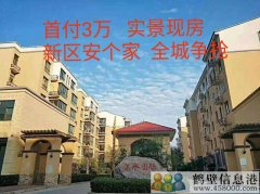 首付3萬，新區(qū)安個(gè)家
